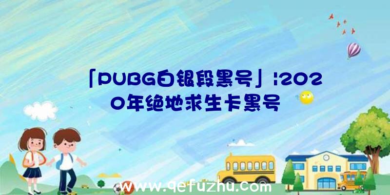 「PUBG白银段黑号」|2020年绝地求生卡黑号